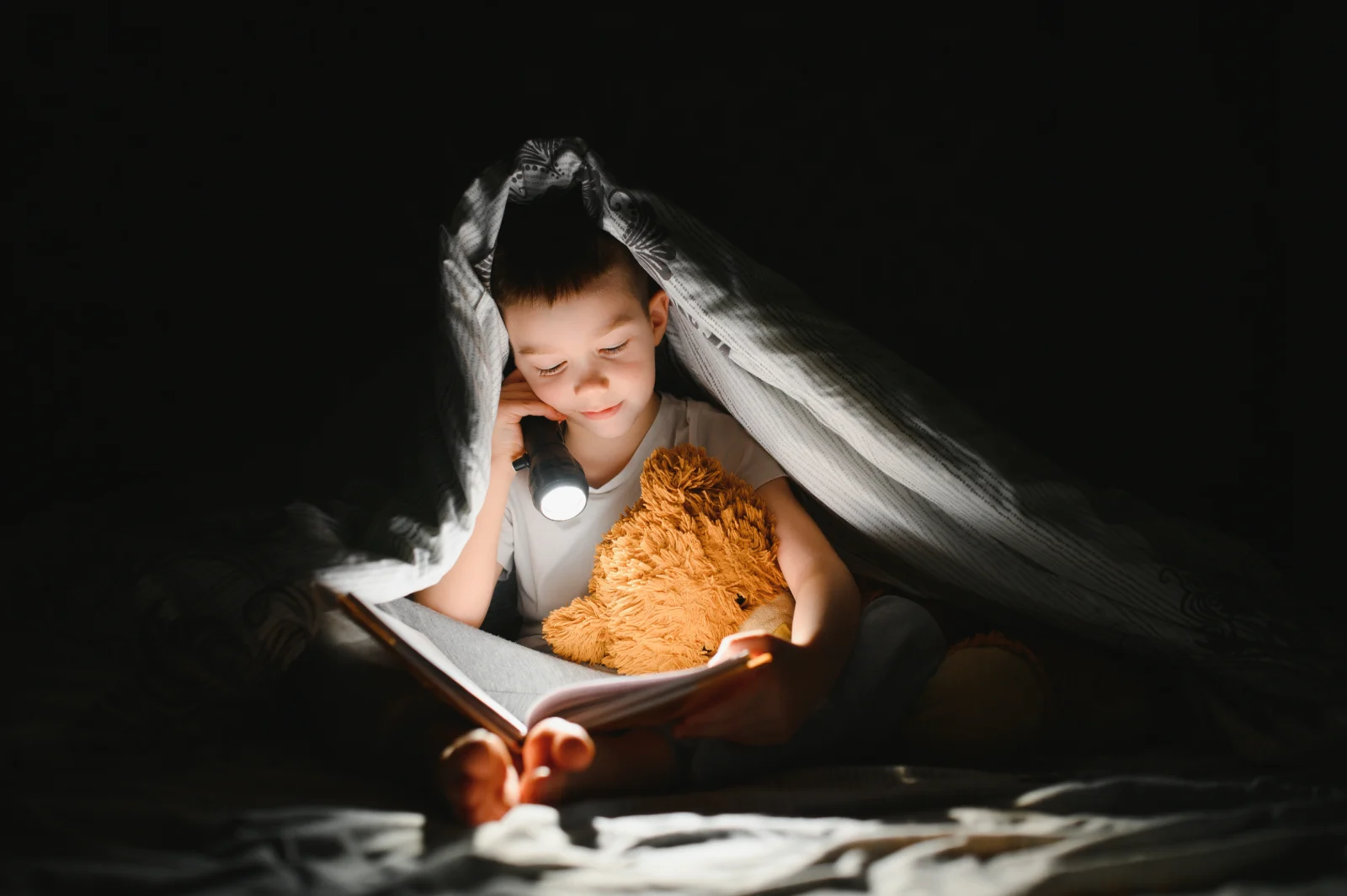 Boy reading a book with a torch under a blanket den